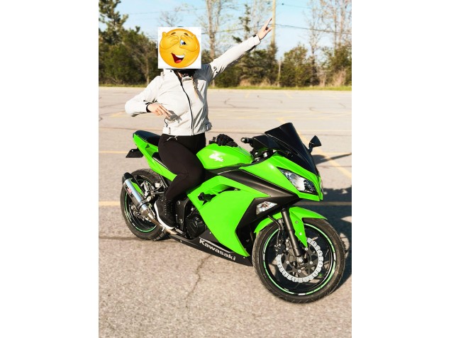 CUSTOM - 2015 Kawasaki Ninja EX300 Fairings CUSTOM - 2015 Kawasaki Ninja EX300 Fairings